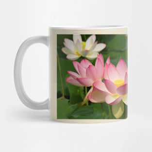 Lotus Mug